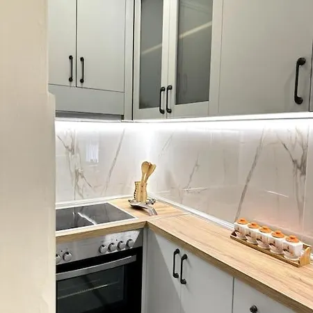 Apartment Near & Blloku Area *